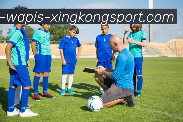 星空体育平台生态图