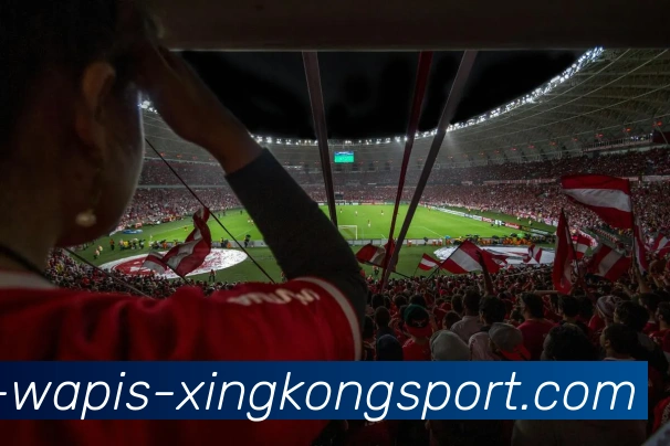 星空体育APP 封面图