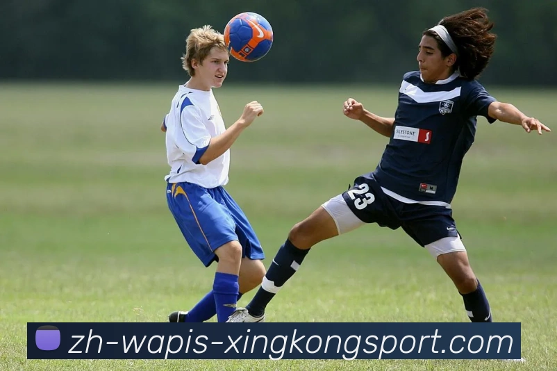 数据防护可视化